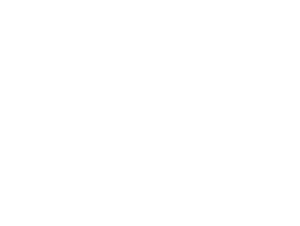 FAD Guitars